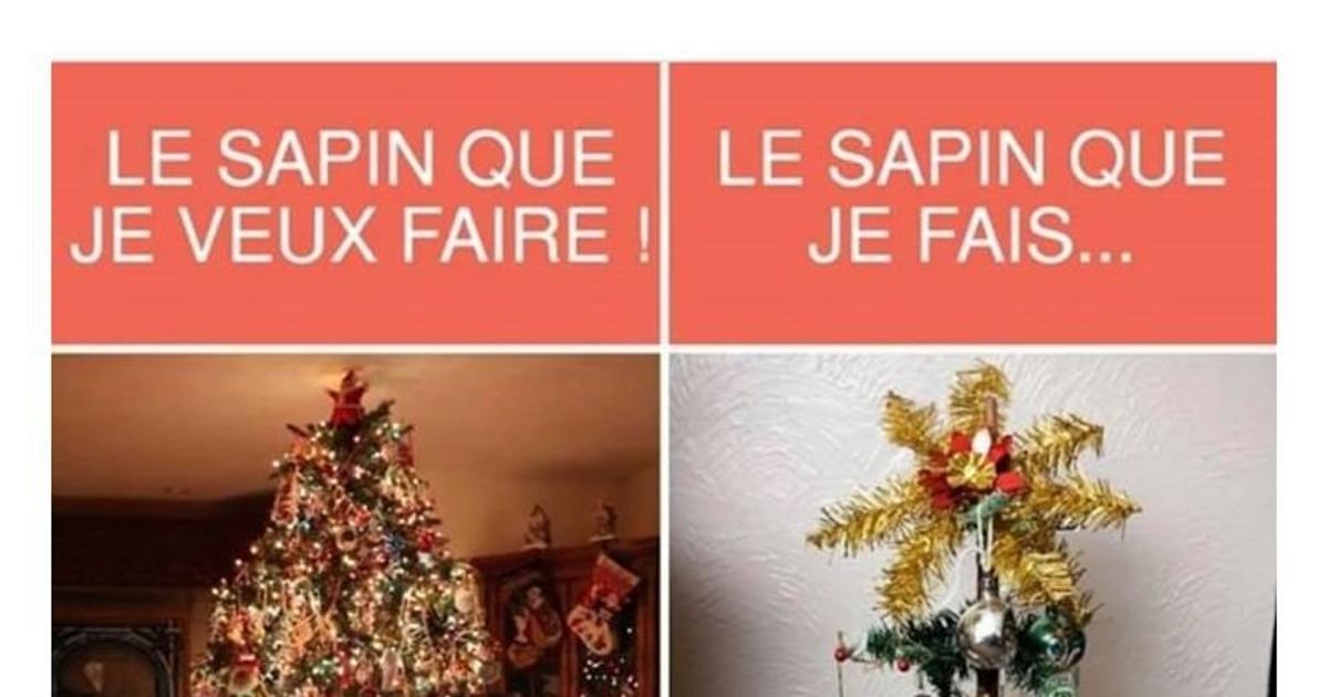 Le sapin que - Blagues et les meilleures images drôles!