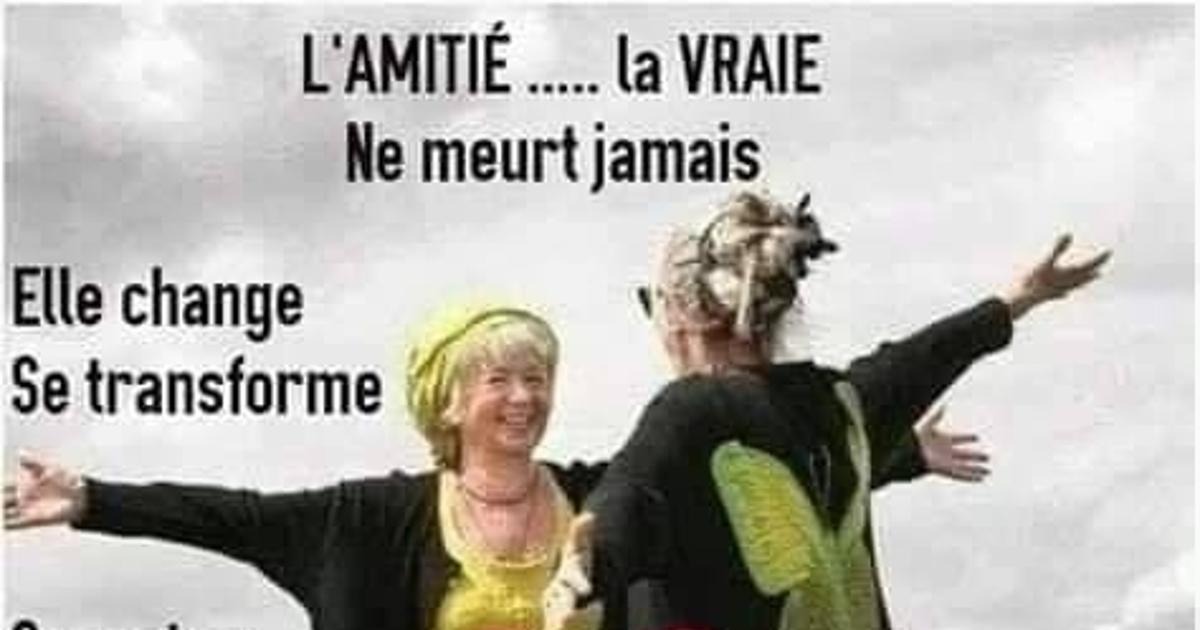 Lamitie La Vraie Blagues Et Les Meilleures Images Drôles 