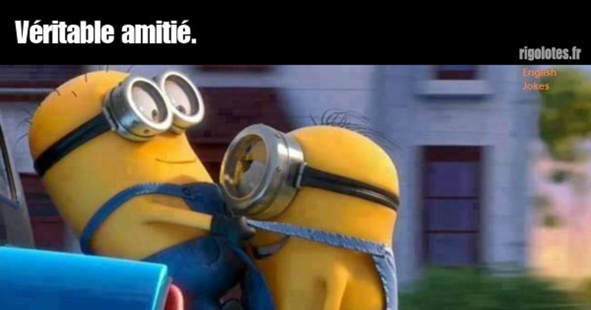 Véritable amitié. - Blagues et les meilleures images drôles!