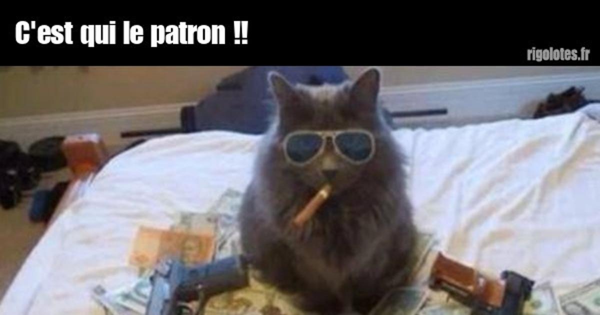 Débardeur Humour "C'est Qui Le Patron" Pour Homme - Cadeau Drôle Pour Patron Ou Fan De Sarcasme