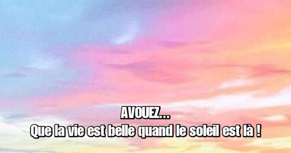 Sweat à Capuche Humour "Avouez : La Vie Serait D'un Chiant Sans Moi" - Coupe Classique, Cadeau Drôle