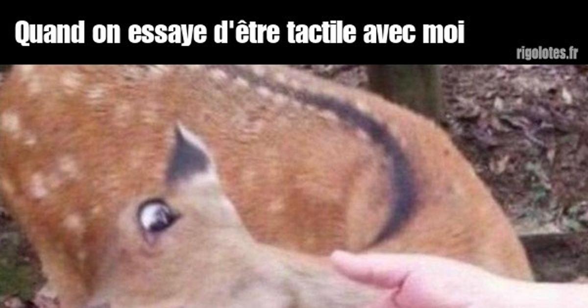 quand on essaye