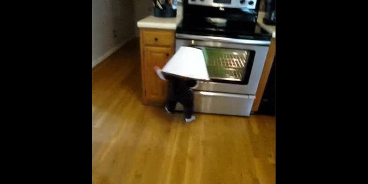 5 Boomerangs Luminescents En Mousse - Jouet Créatif Pour Enfants, Jeu Extérieur, Cadeau Anniversaire - 14x24 Cm, Couleurs Assorties