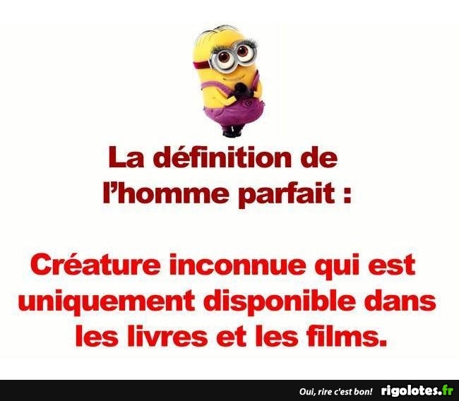 La définition de l'homme parfait.. - Blagues et les meilleures images ...