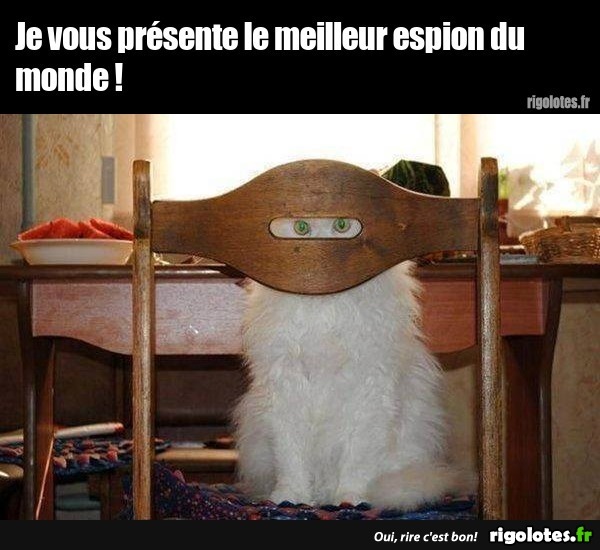 Je Vous Pr sente Le Meilleur Espion Du Monde Blagues Et Les Je Vous Pr sente Le Meilleur Espion Du Monde Blagues Et Les