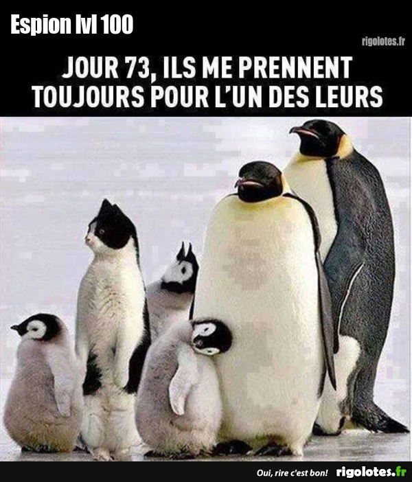 Espion Lvl 100 Blagues Et Les Meilleures Images Dr les Espion Lvl 100 Blagues Et Les Meilleures Images Dr les