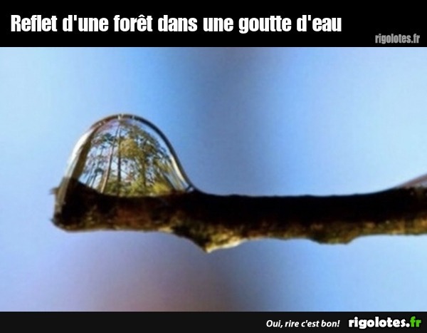 Débardeur Panthère Noire Reflet Dans L'eau - Design Sauvage Et élégant Pour Amateurs De Nature