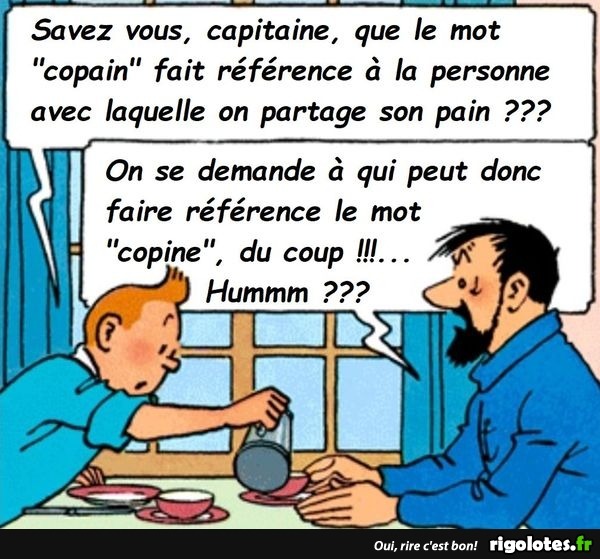 Tintin et Haddock... 20240503