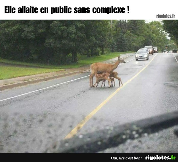 Elle allaite en public sans complexe ! 20240925